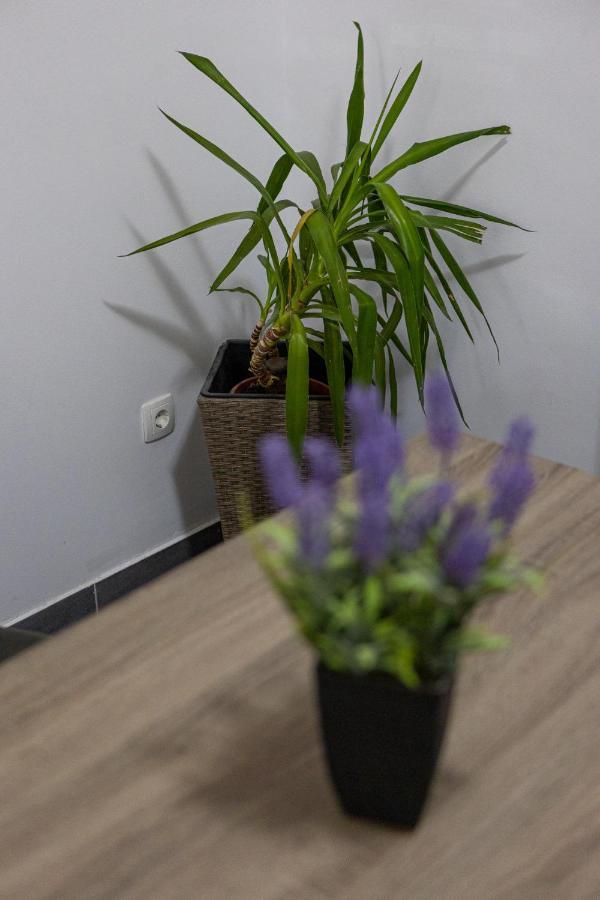 Apartman Toni 스플리트 외부 사진